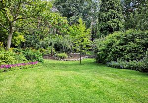 Optimiser l'expérience du jardin à Le Plessier-sur-Bulles